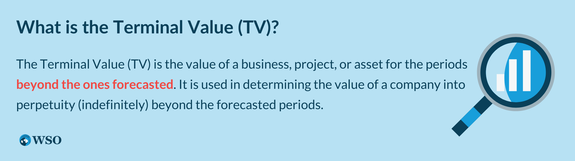 What is the Terminal Value (TV)?